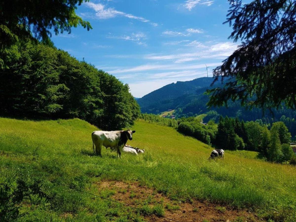 Hotel Walkenstein Oberwolfach Zewnętrze zdjęcie