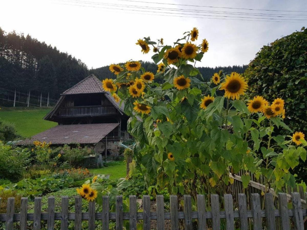 Hotel Walkenstein Oberwolfach Zewnętrze zdjęcie